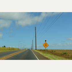 ayumilog | Hawaii | ノースショアへドライブ！ | 青い空、広い空。