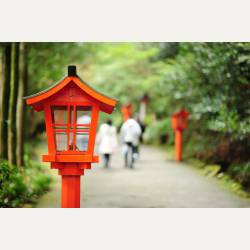 ayumilog | Hakone | 箱根神社へ | お気に入りの一枚。