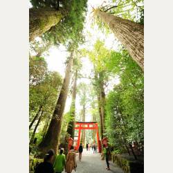 ayumilog | Hakone | 箱根神社へ | パワースポットといわれるのがわかる気がします。