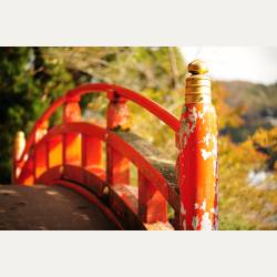 ayumilog | Hakone | 箱根神社へ | 秋を感じる一枚。