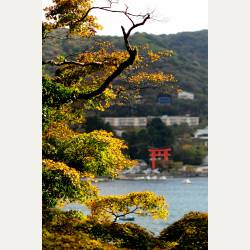 ayumilog | Hakone | 箱根神社へ | 日本の風景画。