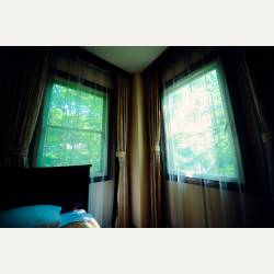 ayumilog | Karuizawa | 旧軽井沢ホテル音羽ノ森 | 緑拡がる窓。この窓にやられました。